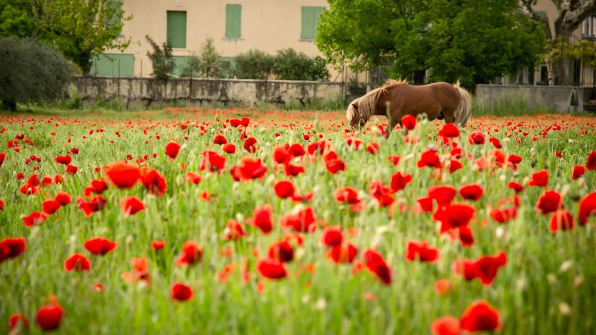 Holiday home Le Grand Liodrey Villa Cereste